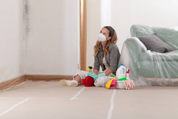 Reliable Mold Remediation contractor in Millburn, NJ by Cheap Mold Removal